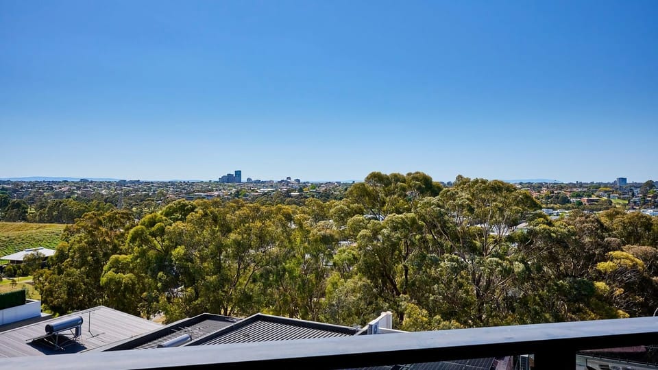 Wake up to expansive, elevated views of lush treetops stretching out toward the horizon.