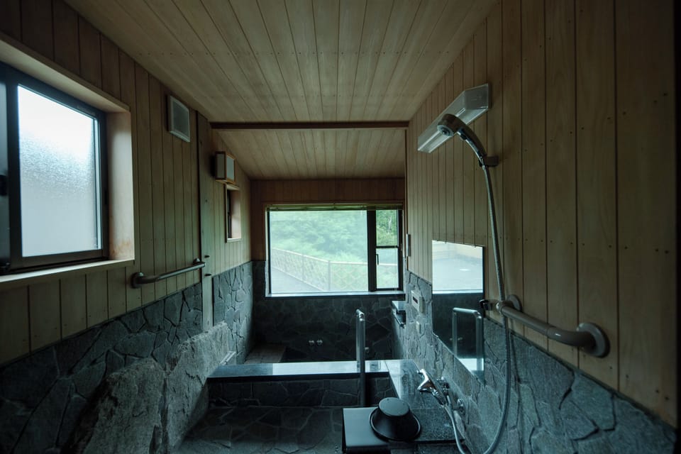 Combined shower/tub, hair dryer, towels, soap