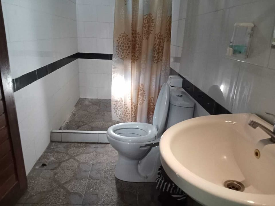 Shower, bidet, towels, soap