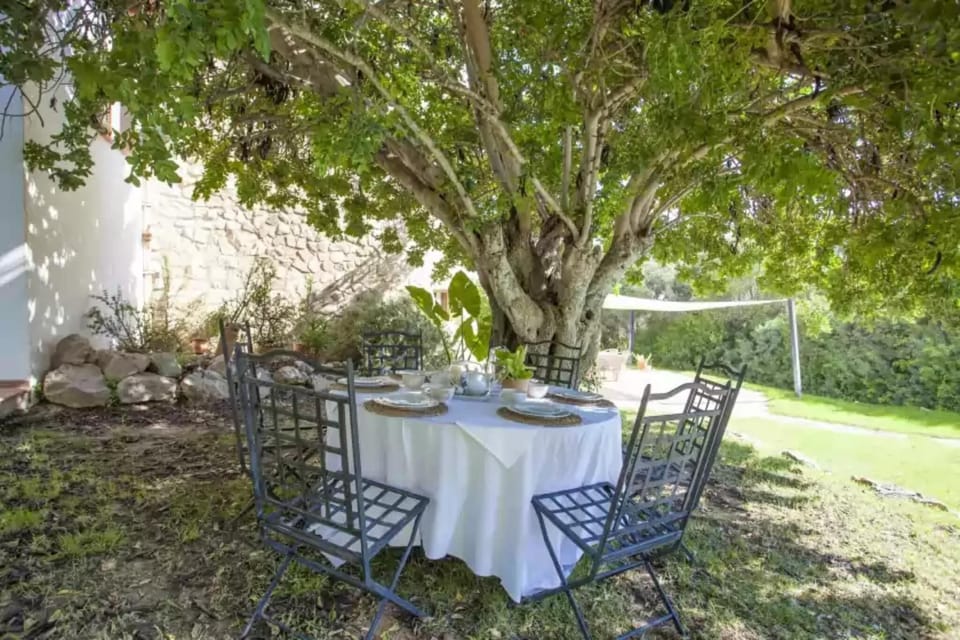 Patio / Balcony