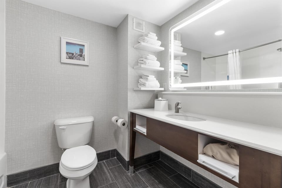 Executive Room, 1 King Bed with Sofa bed, Refrigerator & Microwave | Bathroom | Free toiletries, hair dryer, towels