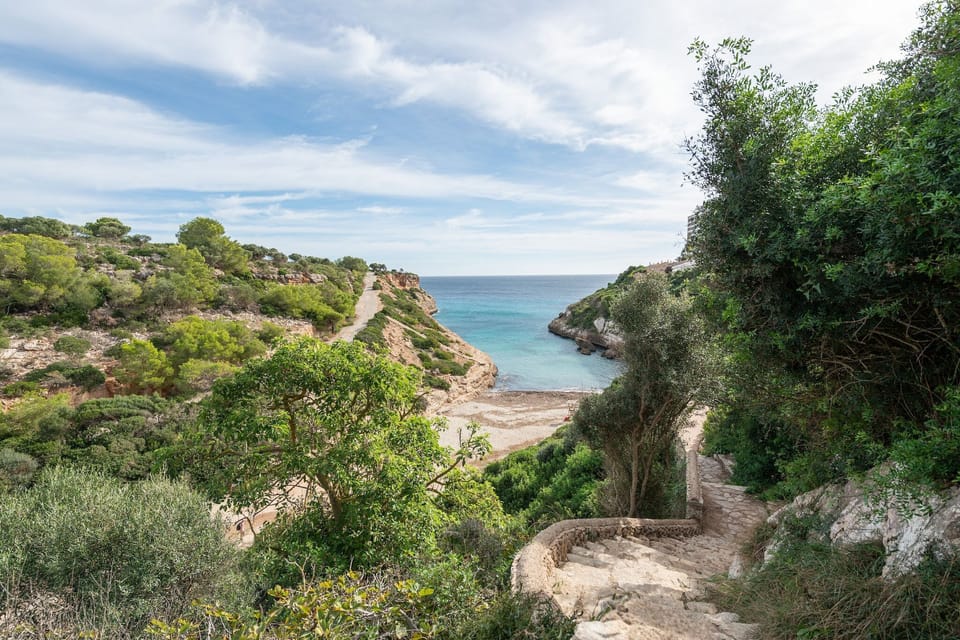 Surroundings [summer] (1-5 km)