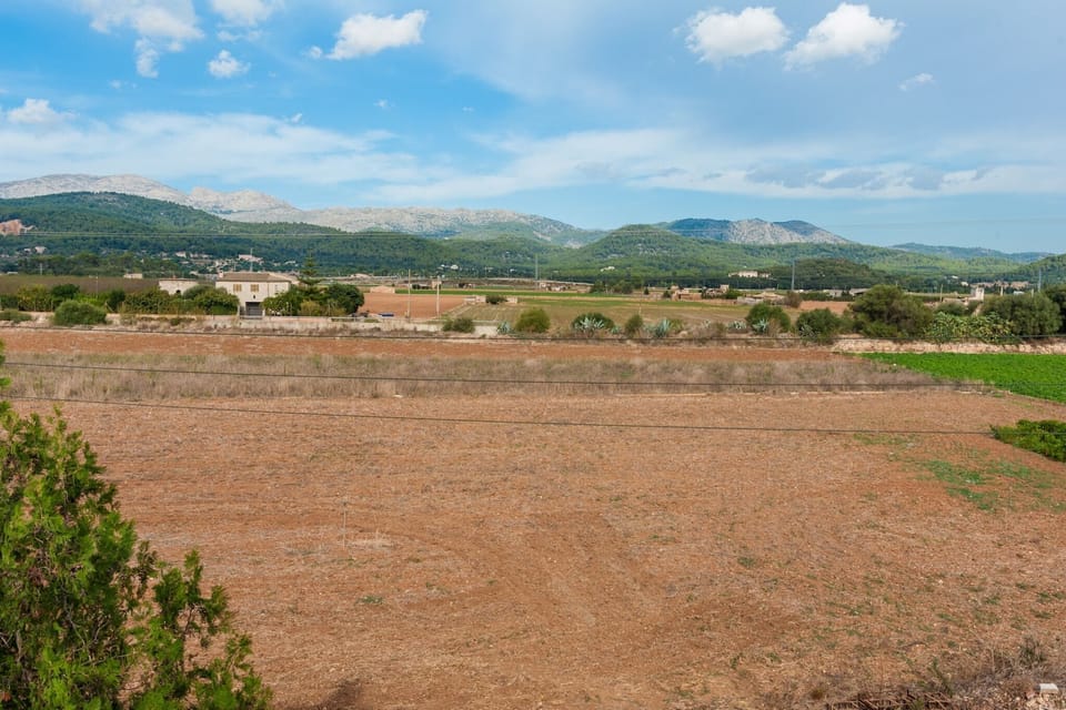 Surroundings [summer] (1-5 km)