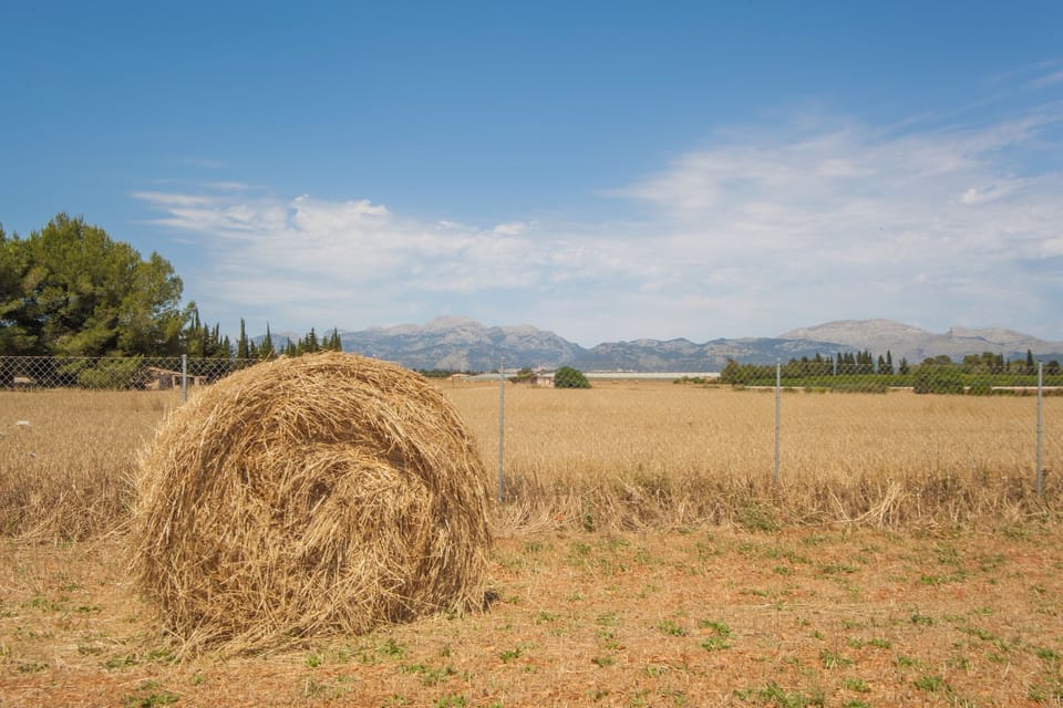 Surroundings [summer] (1-5 km)
