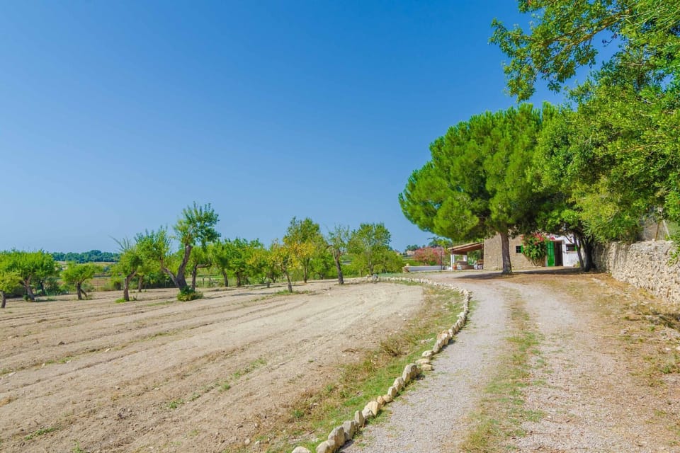 Surroundings [summer] (1-5 km)