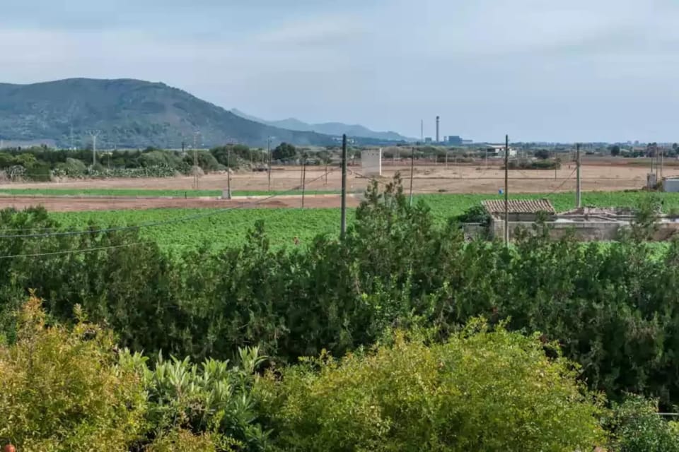 Immediate Surroundings [summer] (<1 km)
