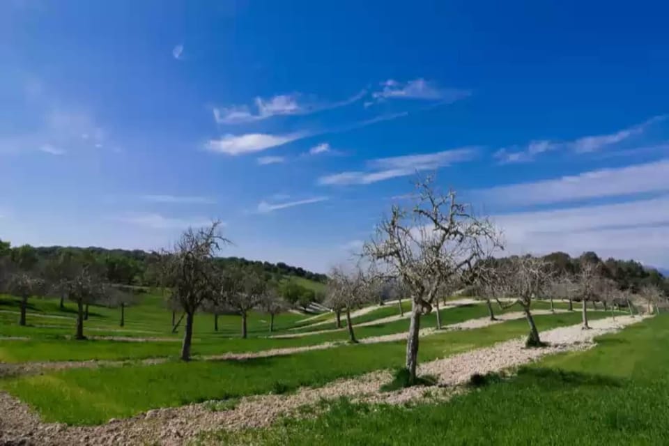 Surroundings [summer] (1-5 km)