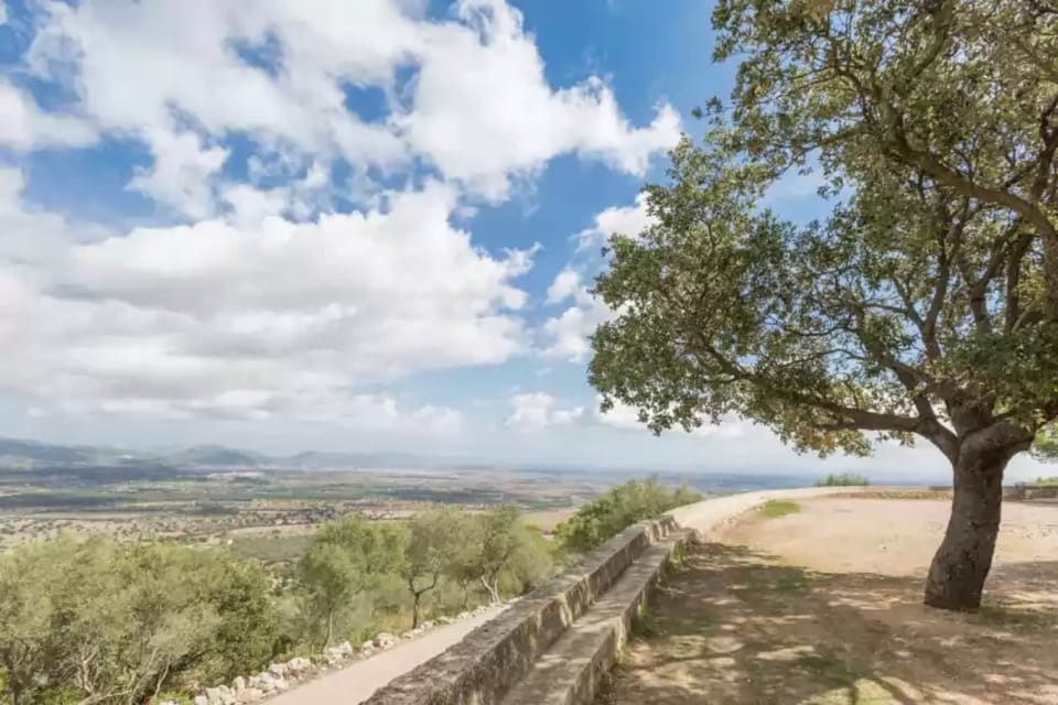Immediate Surroundings [summer] (<1 km)