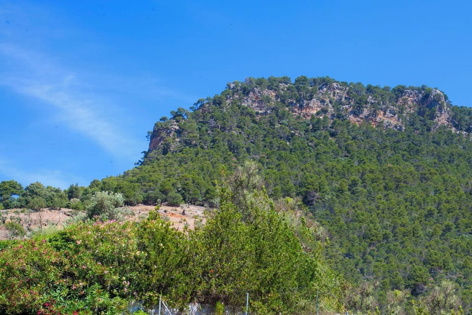 Surroundings [summer] (1-5 km)