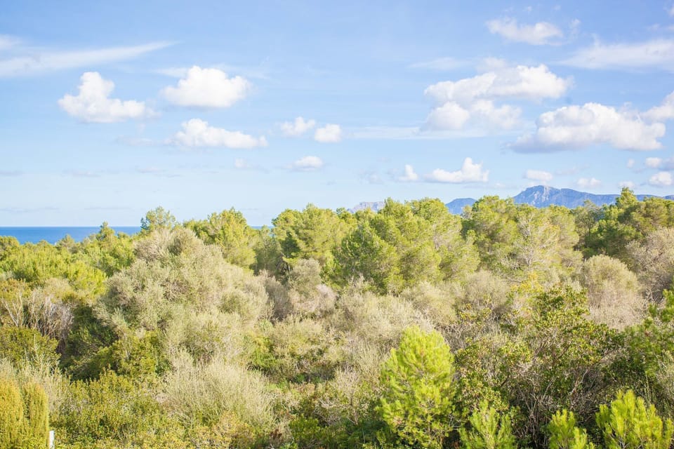 Surroundings [summer] (1-5 km)