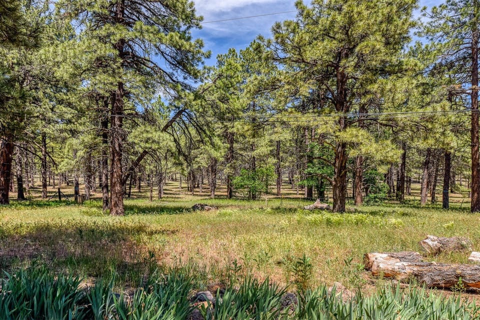With tall trees and open grassy spaces, this setting is ideal for a serene getaway.