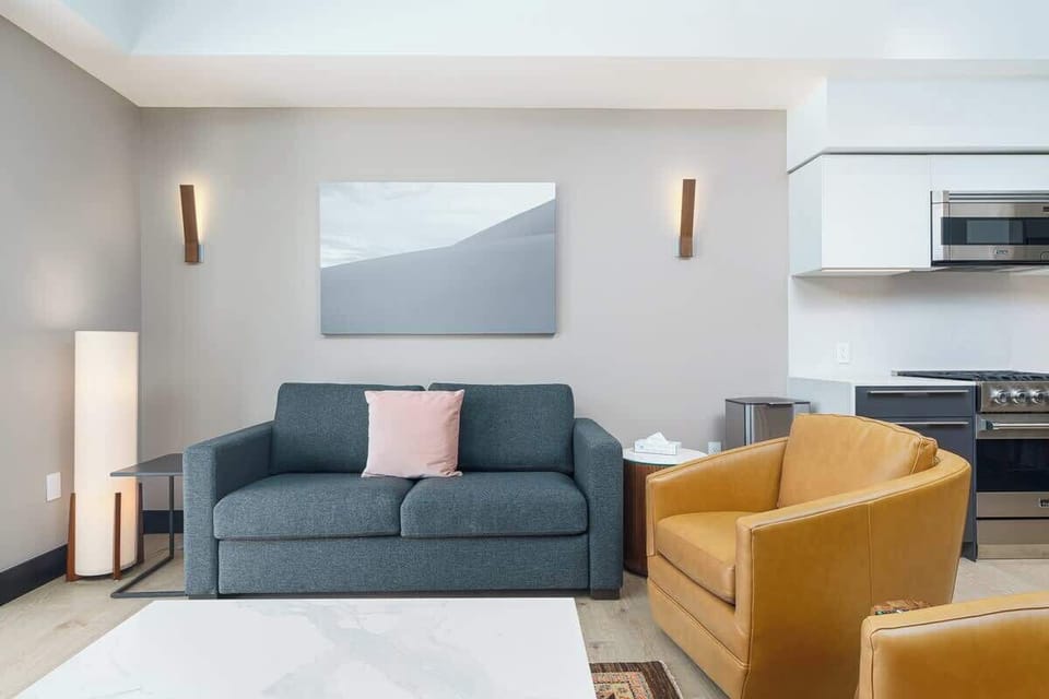 Sleeper Sofa from Room & Board