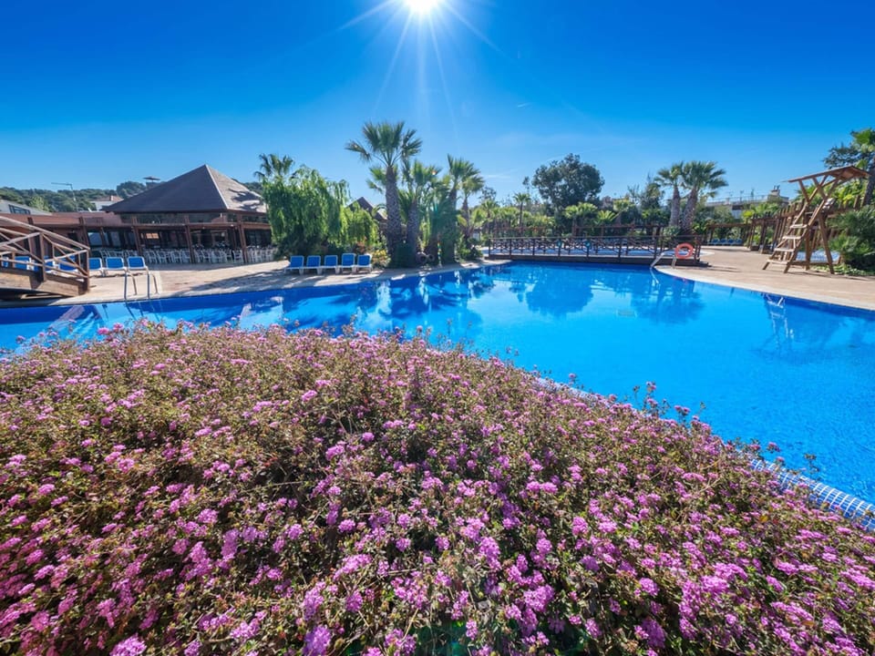 Tent | Pool | Outdoor pool