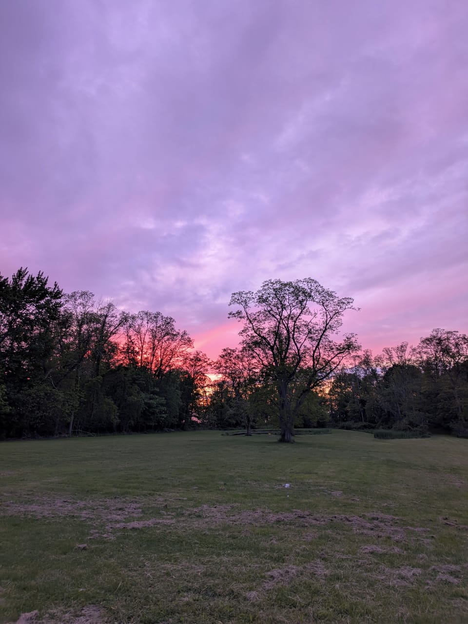 our backyard