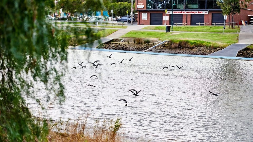Watch local birdlife glide over the water with peaceful, scenic river trails located right on your doorstep.