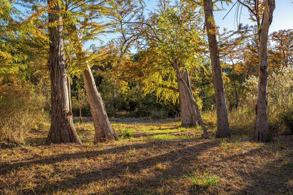 Nestled beside the river, a charming meadow offers the perfect spot for a peaceful picnic. Surrounded by wild grasses and the gentle sounds of the water, this serene space invites you to relax, enjoy a meal, and take in the natural beauty of the riverbank.