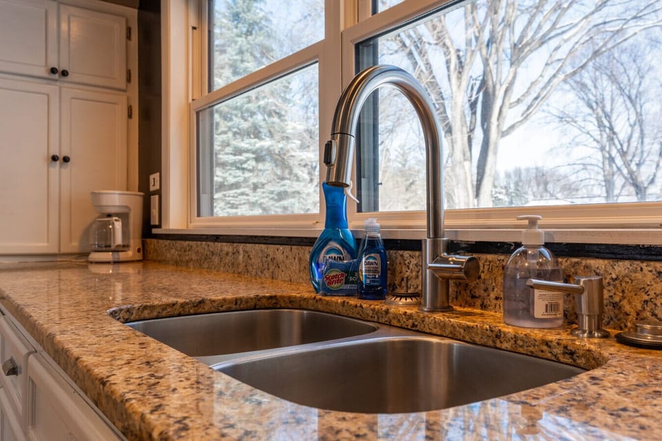 Dish Soap and New Sponge for Every Guest