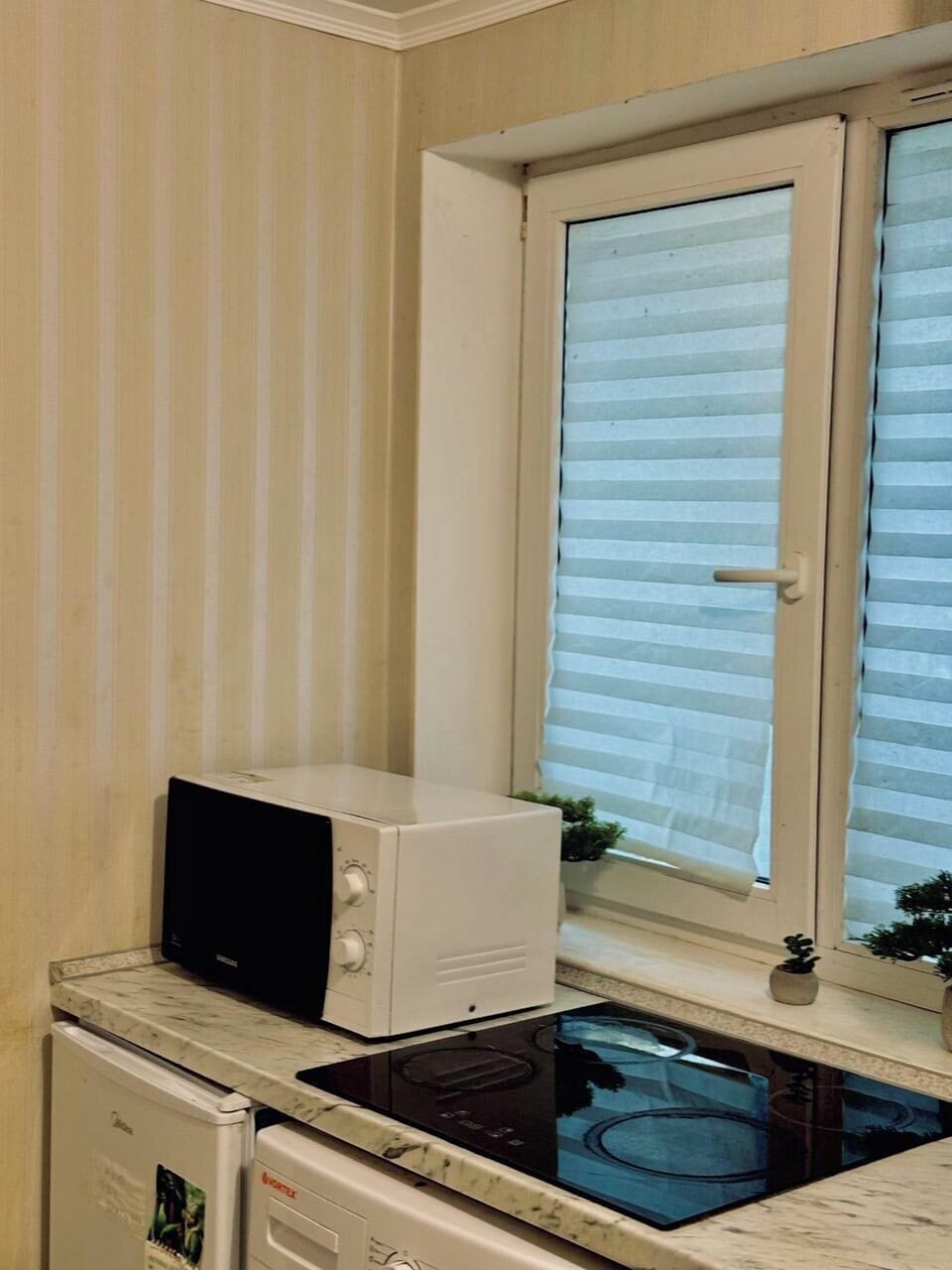 Mini-fridge, microwave, stovetop, cookware/dishes/utensils
