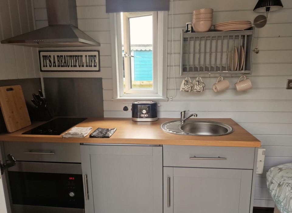 Fridge, microwave, stovetop, electric kettle