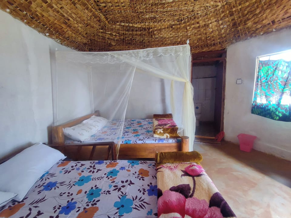 Basic Double Room, Courtyard View