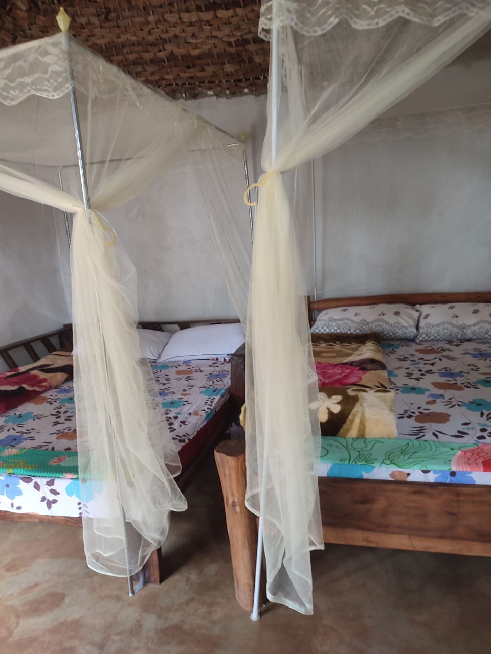 Family Double or Twin Room