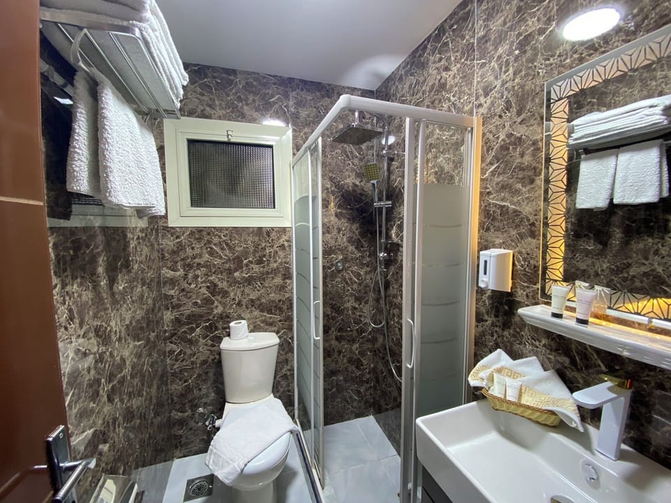 Deluxe Double or Twin Room | Bathroom | Shower, towels, soap, shampoo