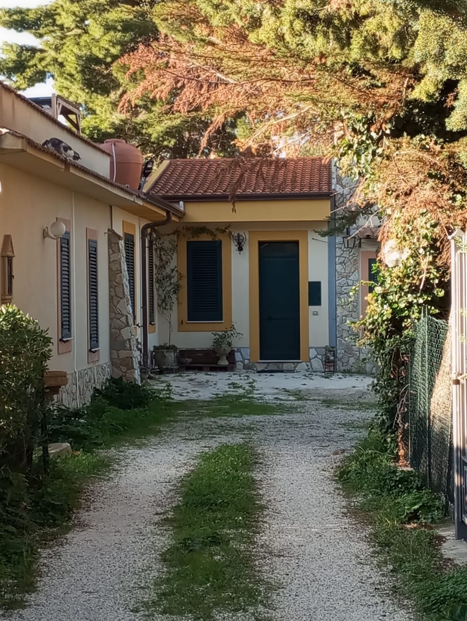 Exterior