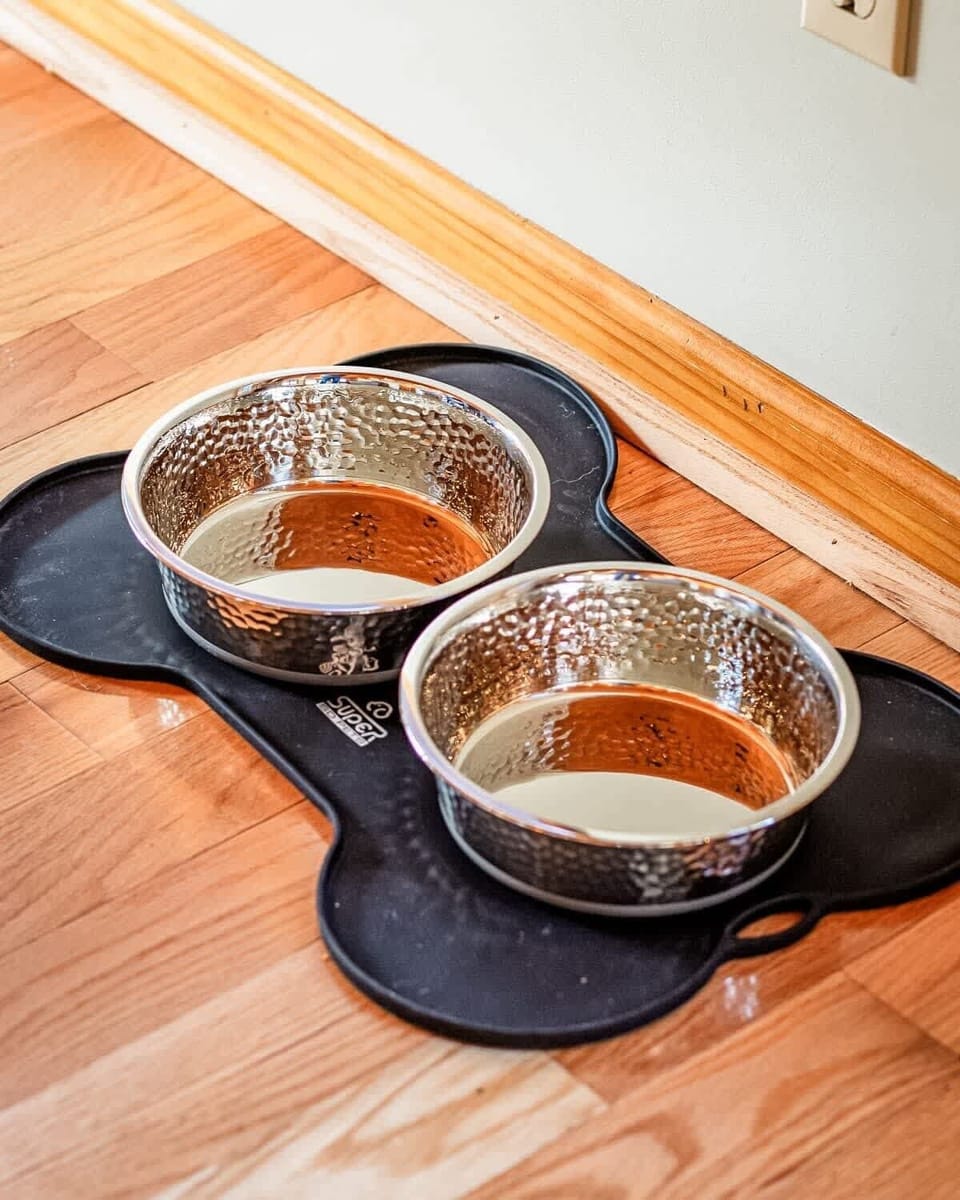 We're not just dog friendly, but dog welcoming! We provide dog treats, bags, blankets, and a doggy bed right in front of the fireplace! Your furry friend will be very comfortable here!