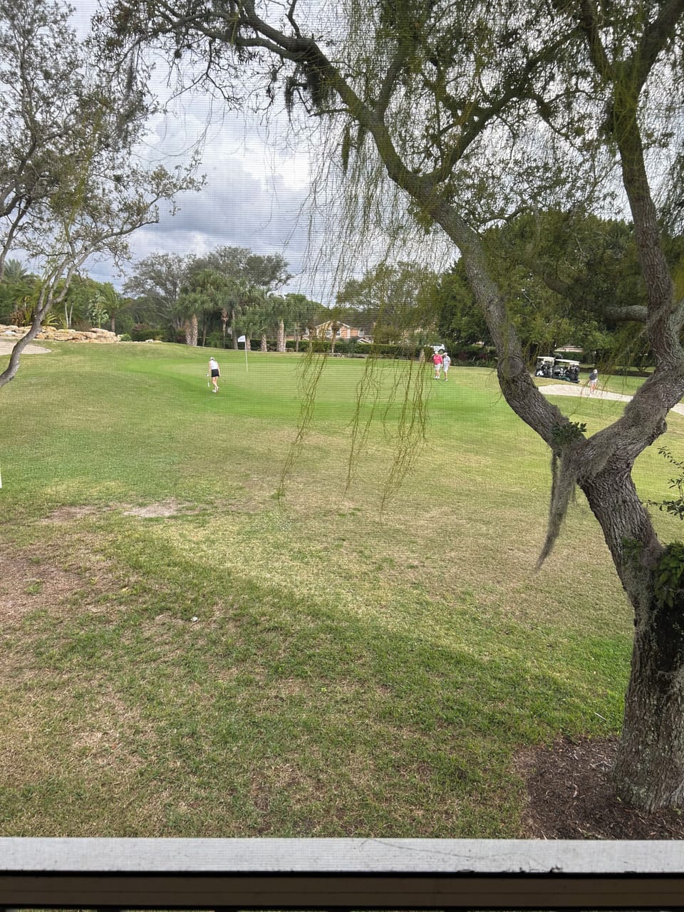 Golf