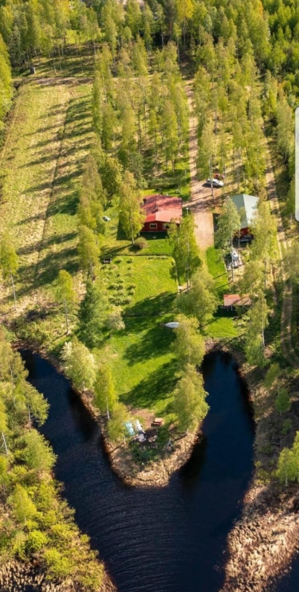 Area view of plot