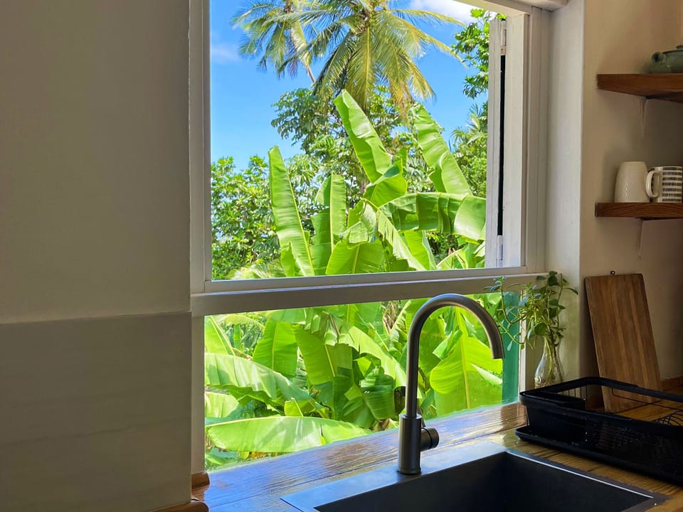 Kitchen Window View - Little Diamond 