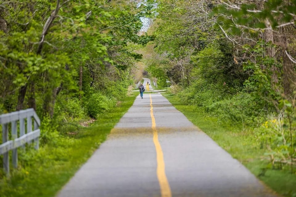 Bike path in back yard
