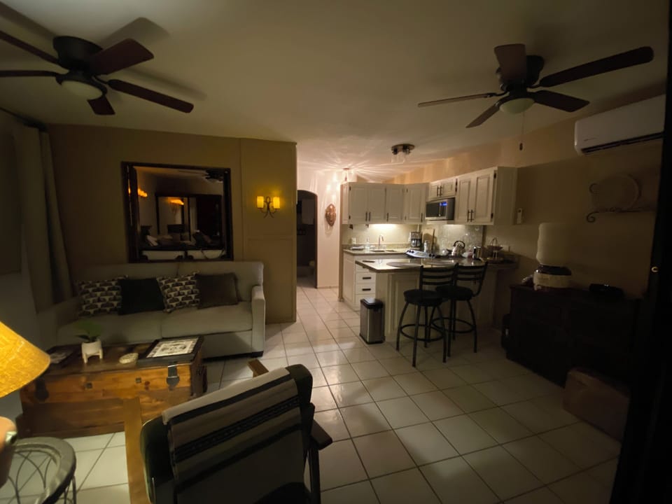 View inside from the Patio