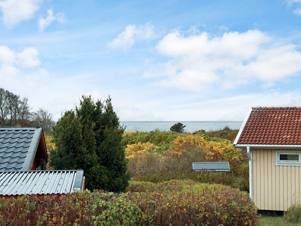 House | Property grounds