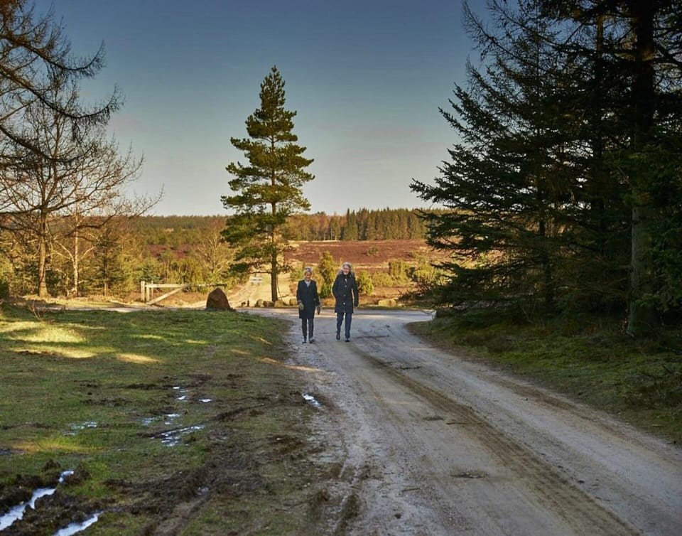 House | View from property