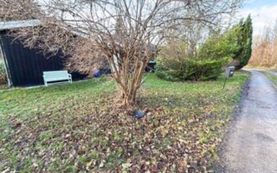 House | Property grounds