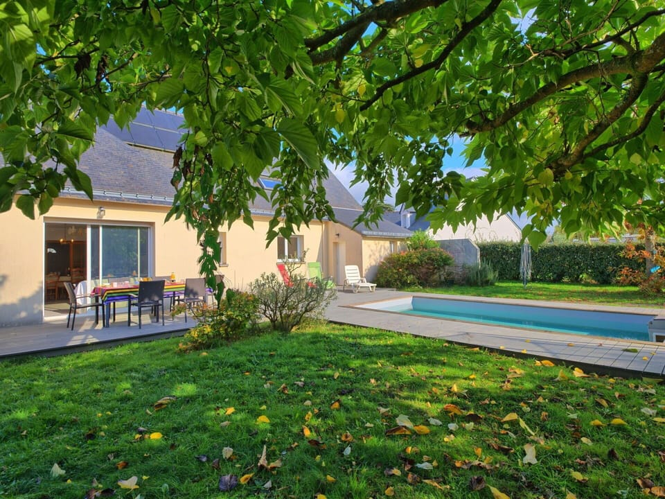 Plant, Flower, Building, Leaf, Botany, Window, Road Surface, Tree, Vegetation, Shade