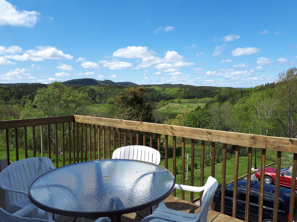 Apartment, 1 Bedroom (Le Hochequeue) | Terrace/patio