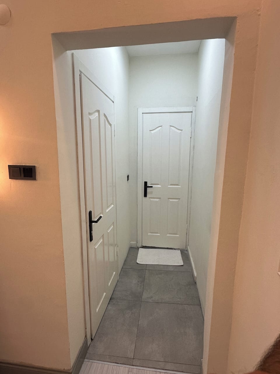 Luxury Suite | Egyptian cotton sheets, premium bedding, minibar, desk