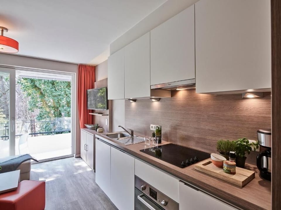 Comfort Apartment, Balcony, Park View | Private kitchen | Fridge, microwave, oven, stovetop
