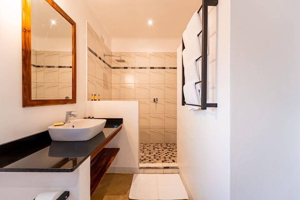 Superior Double or Twin Room | Bathroom | Free toiletries, hair dryer, soap, shampoo