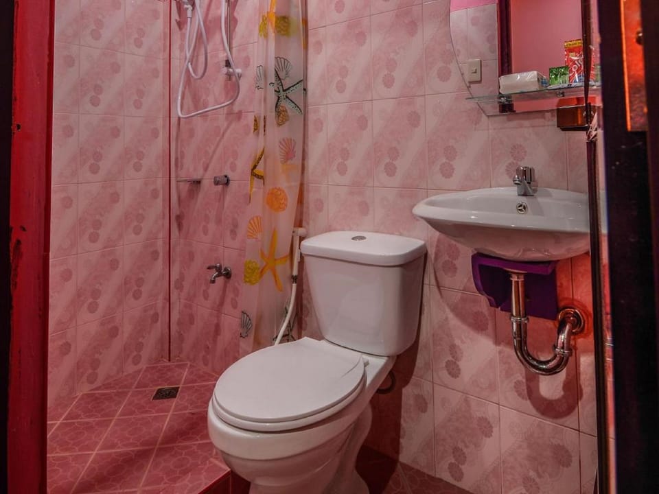 Shower, free toiletries, bidet, towels