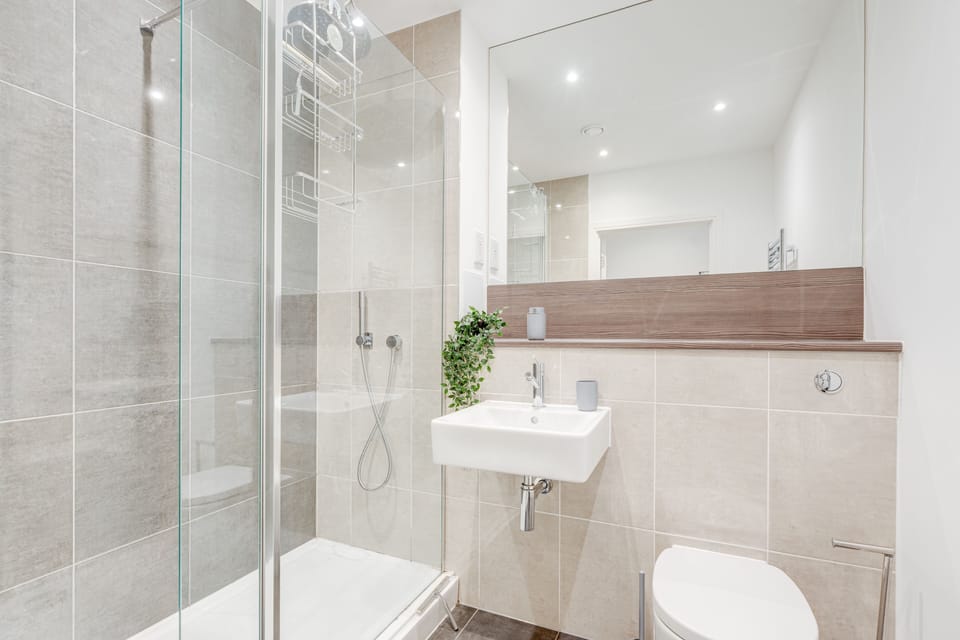 Apartment | Bathroom | Shower, hair dryer, towels