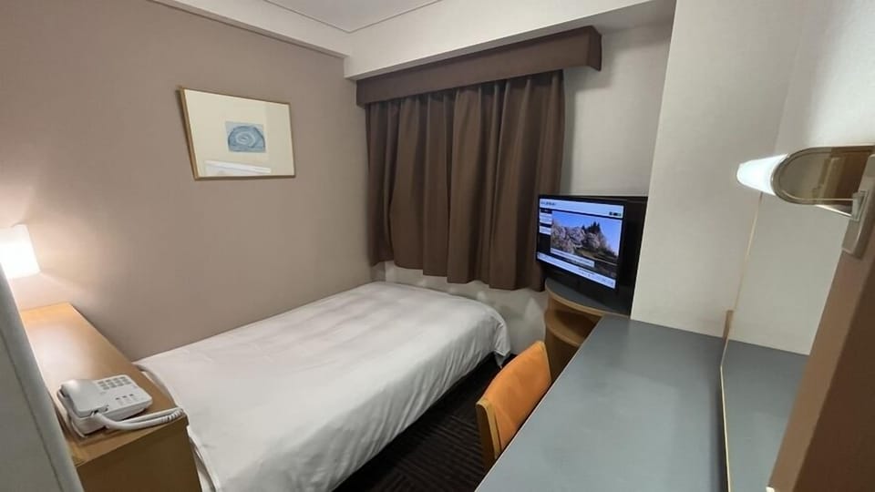 Basic Single Room, City View | Desk, free WiFi