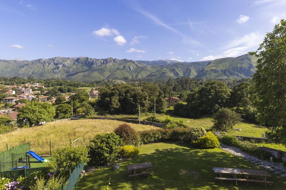 Bird's eye view,Garden,City view,Garden view