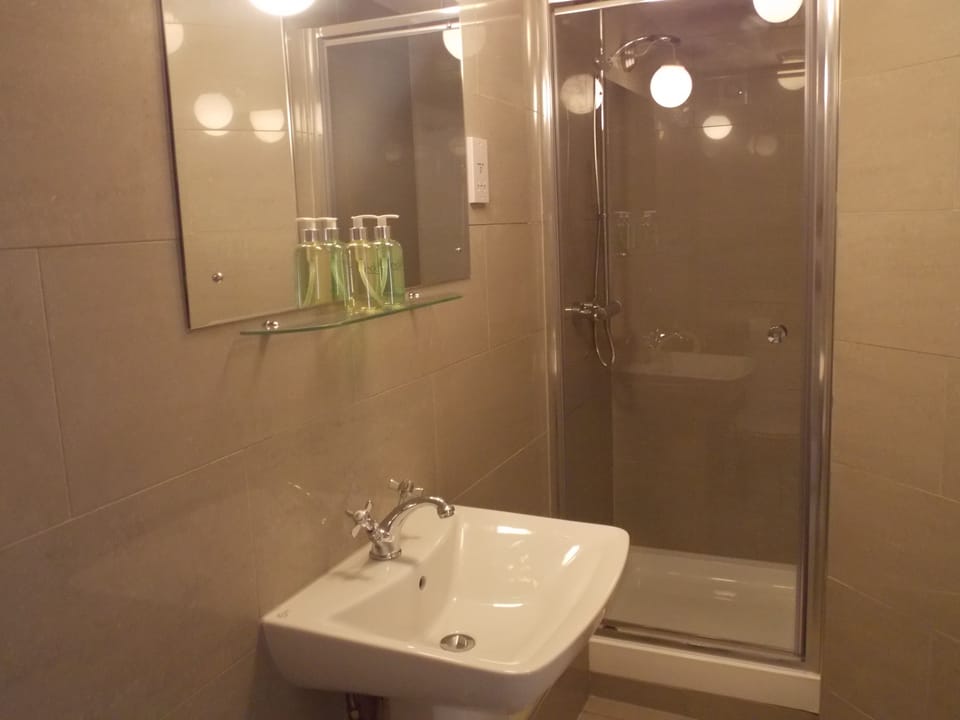 Standard Double Room | Bathroom | Shower, free toiletries, hair dryer, towels