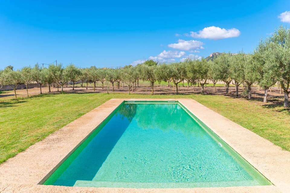 Holiday Home Swimming Pool