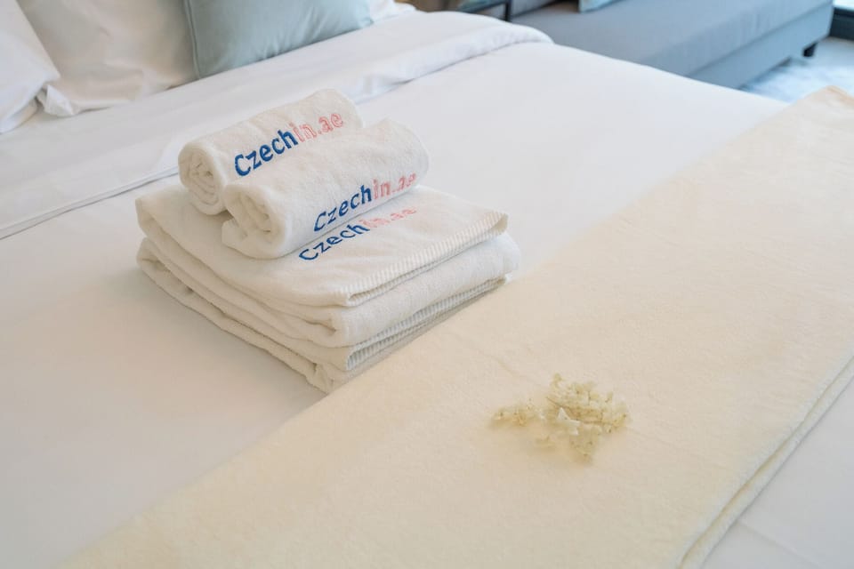 Comfort Studio, Balcony, City View | Desk, iron/ironing board, free WiFi