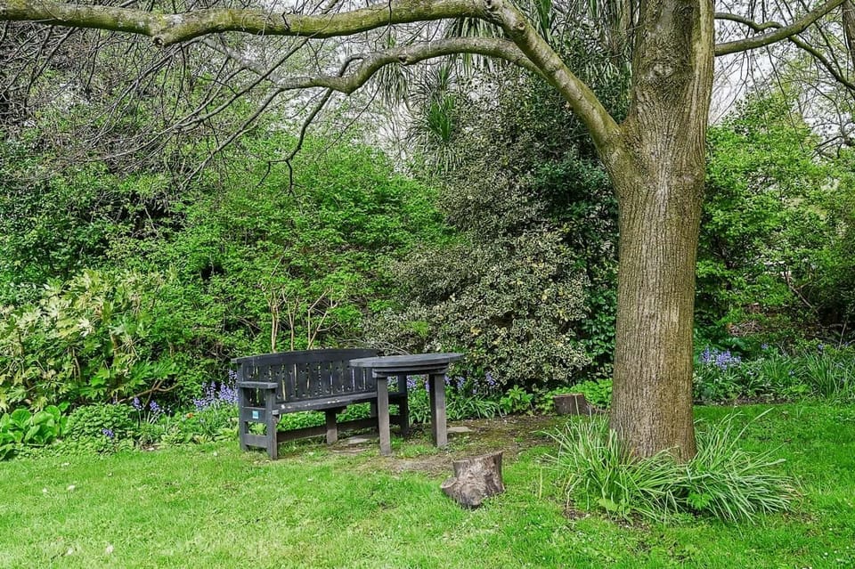 Hanover Rest, Brighton and Hove - Host & Stay