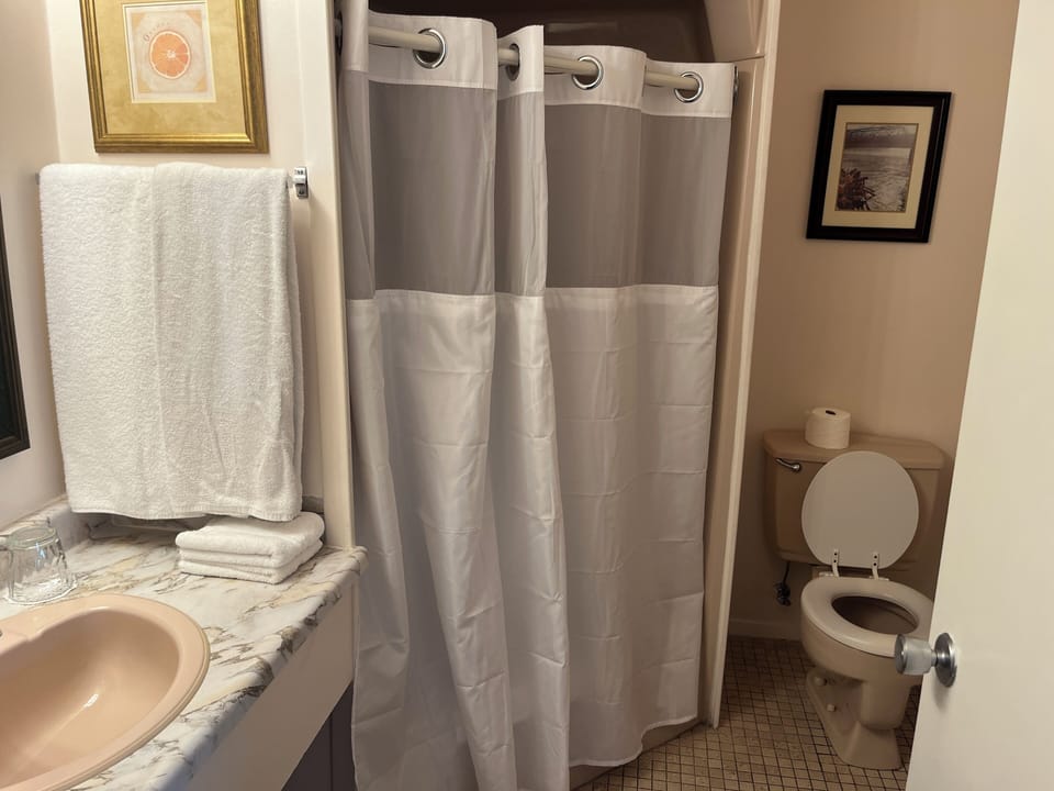 Combined shower/tub, free toiletries, hair dryer, towels